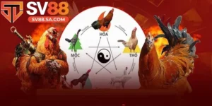 Bảng màu mạng đá gà thu hút sự quan tâm của đông đảo người chơi