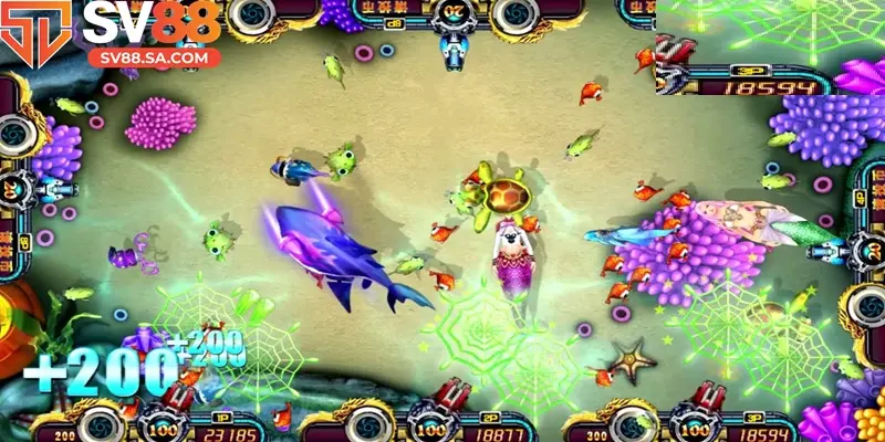 Nắm chắc bí kíp để tăng cơ hội chiến thắng