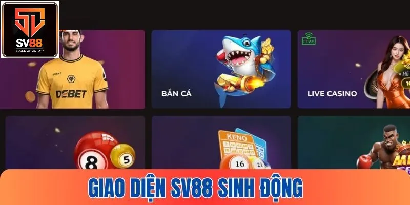 Nhà cái xây dựng giao diện thân thiện với mọi thành viên