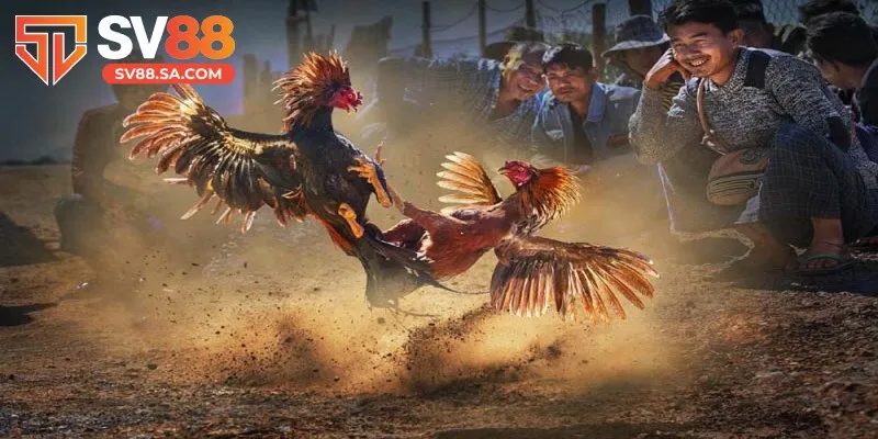 Tham gia vào các kèo cược phụ giúp tăng thêm sự hấp dẫn